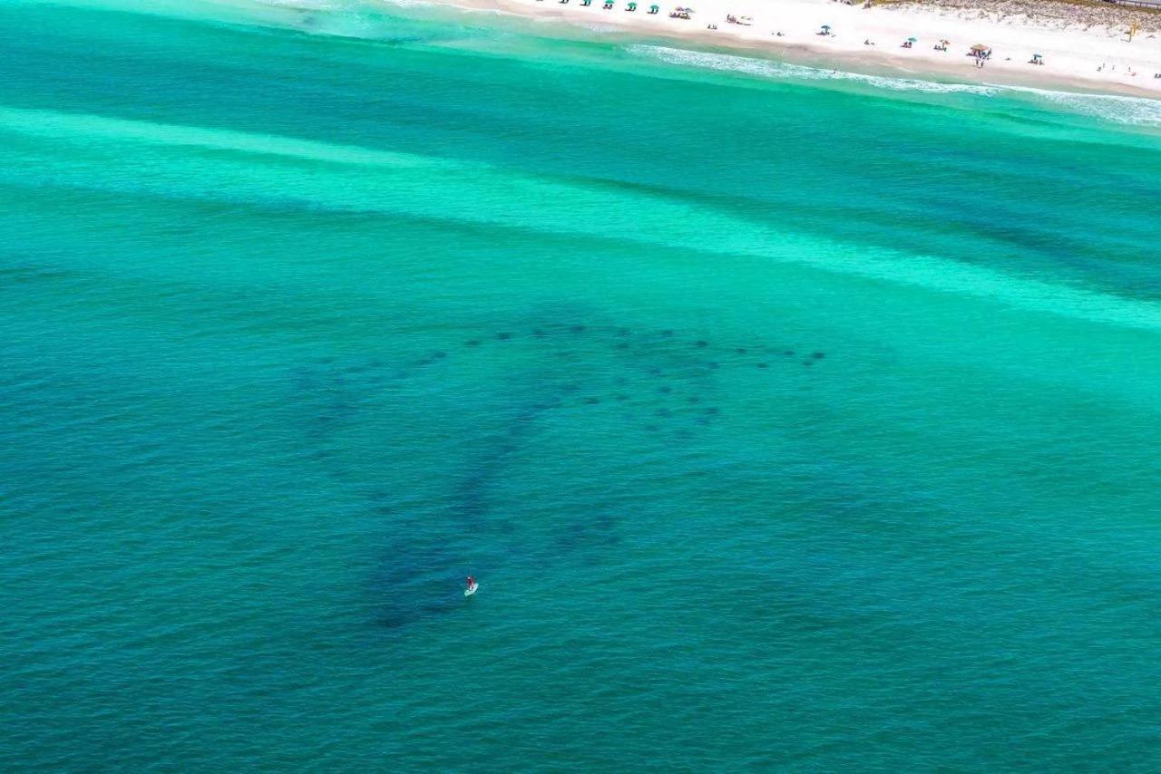 Beach Haven- Beach Pointe 703 Destin Luaran gambar